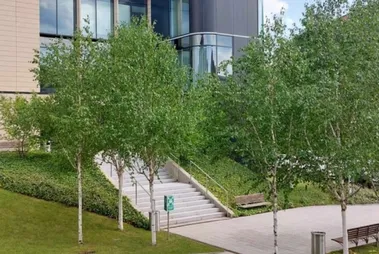 Biuro Wilanów Office