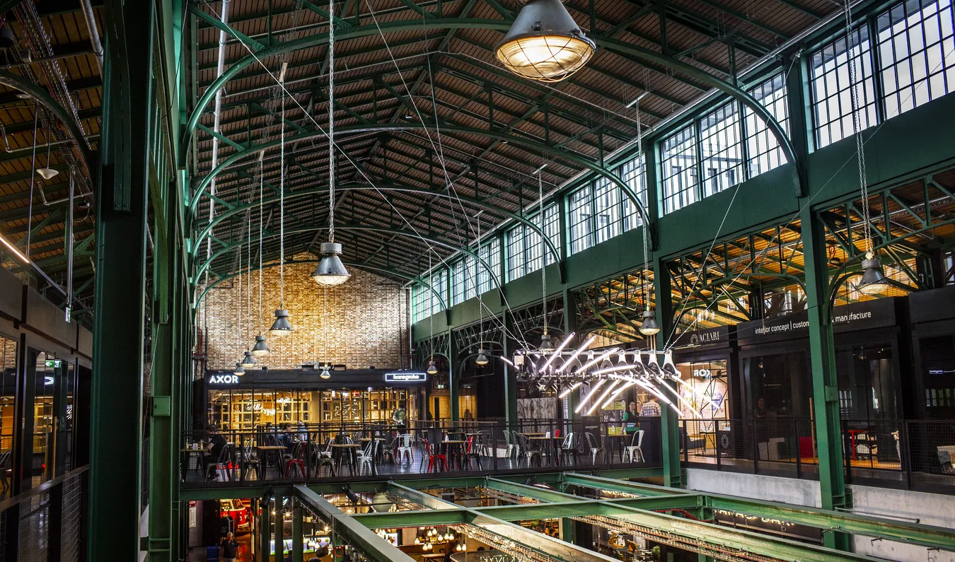 Biuro Biura Koszyki K61B