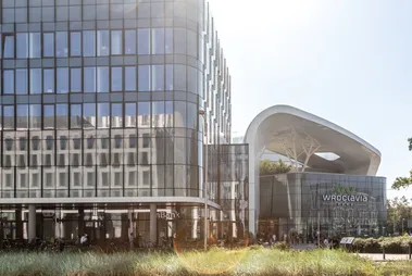Wroclavia Offices