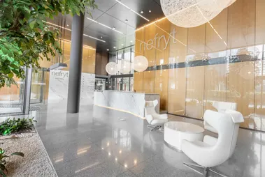 Nefryt