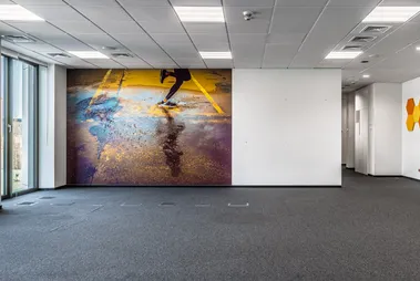 Domaniewska Office Hub