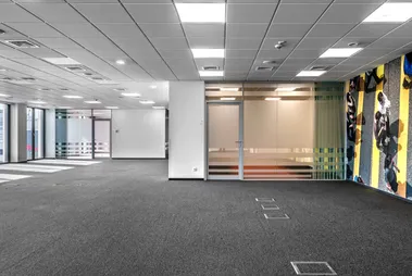 Domaniewska Office Hub
