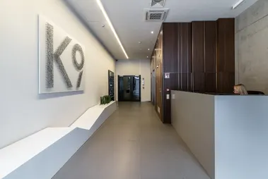 K9
