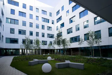 DOT Office F