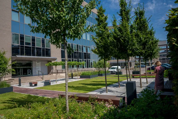 Biuro Flanders Business Park B