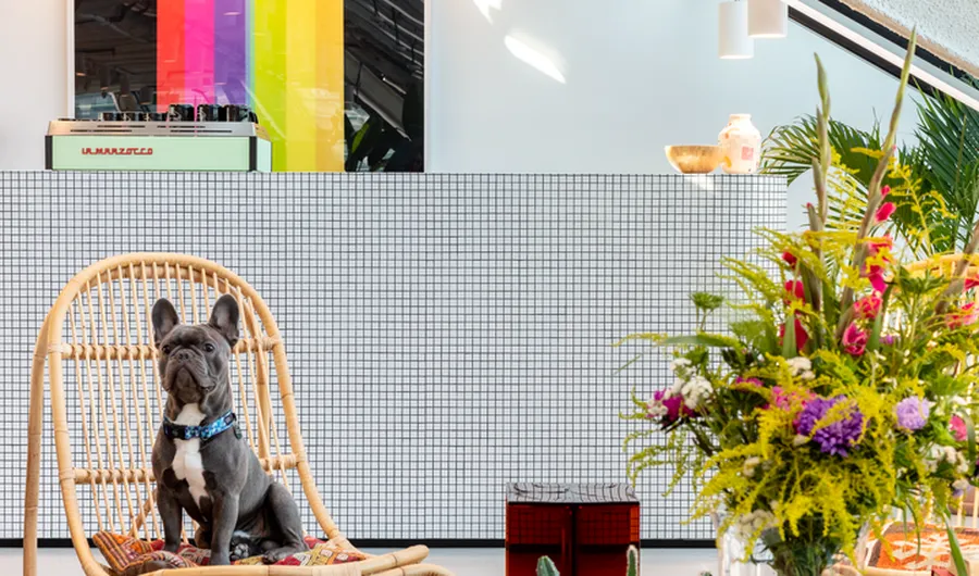 Biuro Hotel Europejski